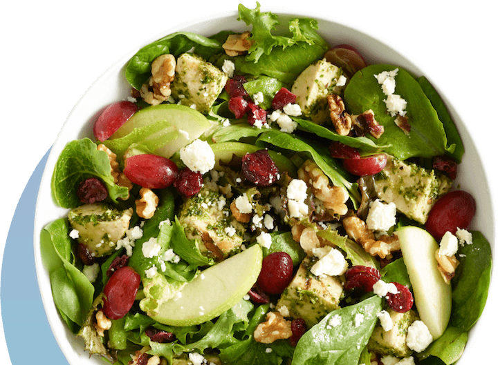 Healthy Salata Salad Bowl